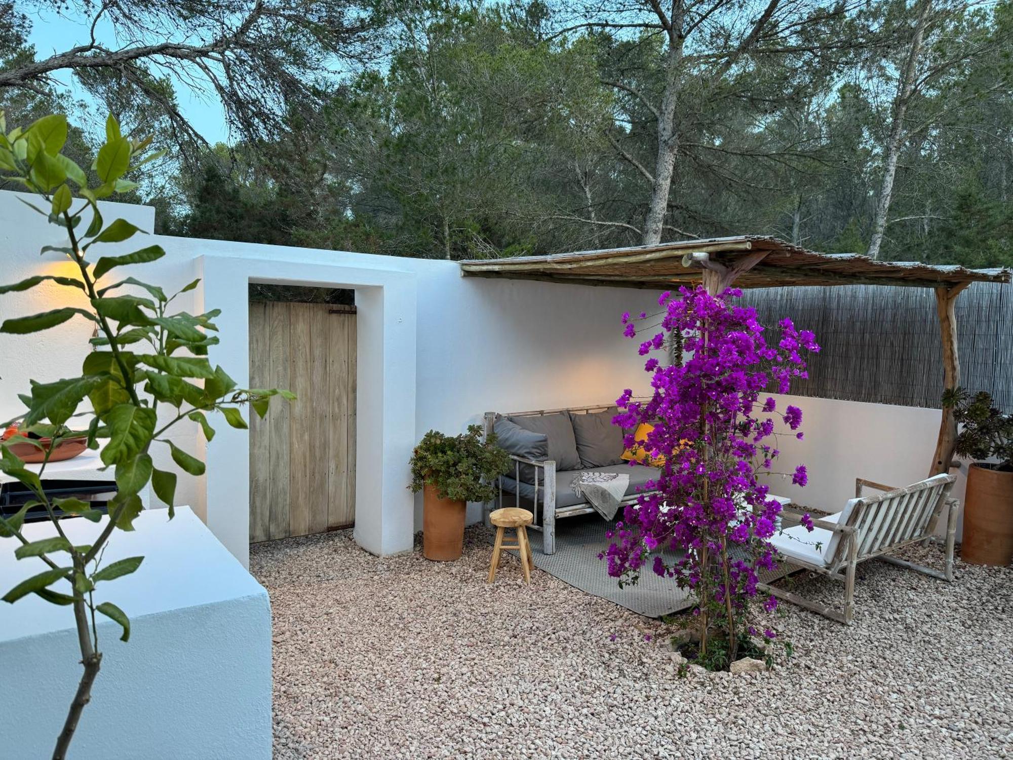 Feliz Lagartija Villa Cala Saona Dış mekan fotoğraf